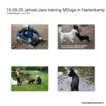 Training met Jara in de Hartenkamp, Peter traint bij Miriam, stiekem om een hoekje gekeken